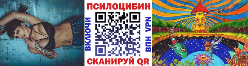 купить наркотик  Верхотурье  Галлюциногенные грибы Cubensis 